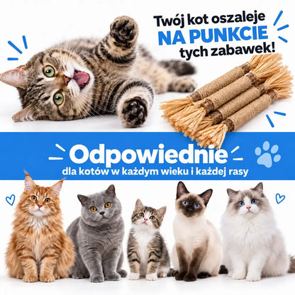 Vidatabi – Naturalne Patyczki Dentystyczne dla Kotów