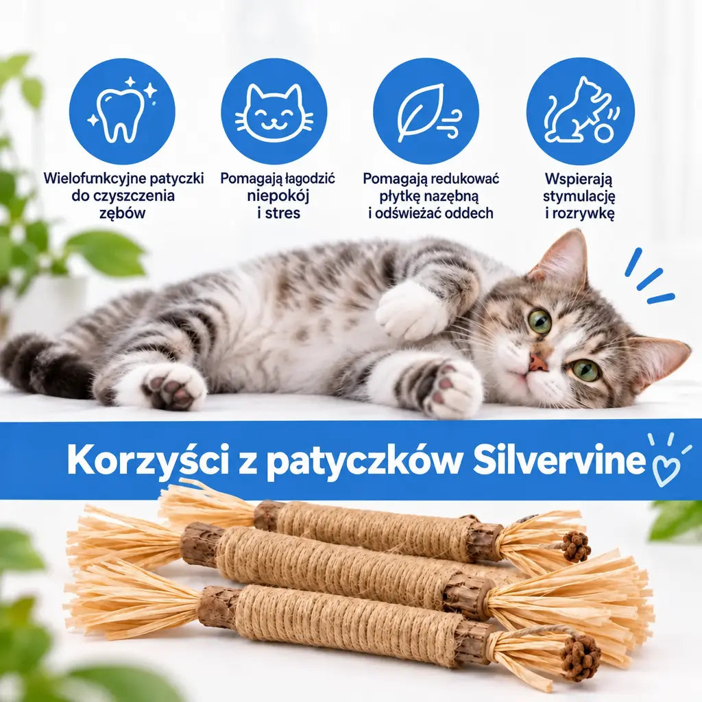 Vidatabi – Naturalne Patyczki Dentystyczne dla Kotów